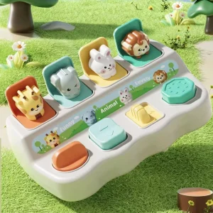 Montessori Pop-Up Toy for Toddler Motor Skills